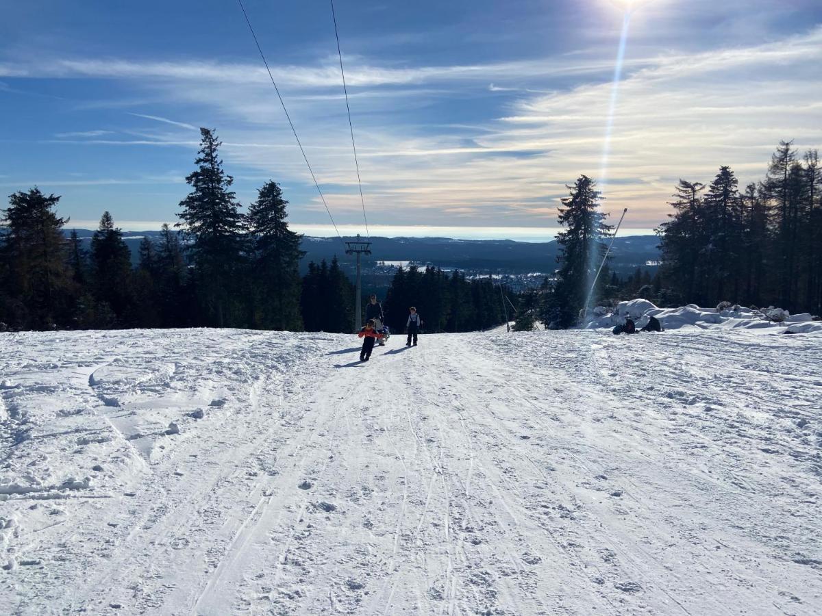 Luxurioese 3-Zi. Ferienwohnung Jagdromantik 200 M Bis Zur Wurmbergsseilbahn Braunlage Bagian luar foto