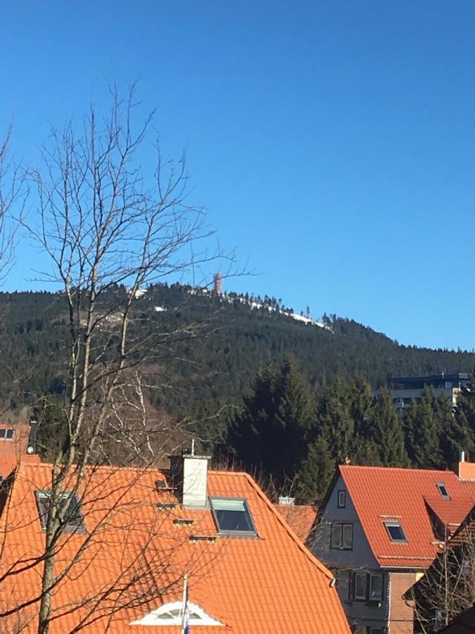 Luxurioese 3-Zi. Ferienwohnung Jagdromantik 200 M Bis Zur Wurmbergsseilbahn Braunlage Bagian luar foto